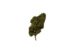 Critical Berry CBD