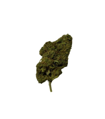 Critical Berry CBD