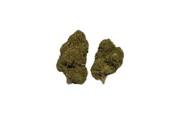 Cannatonic CBD