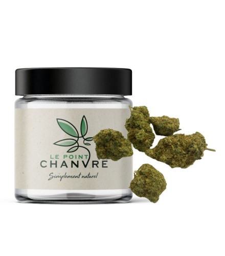 Mango Kush CBD