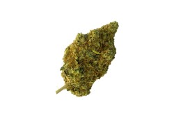 Top Indoor CBD