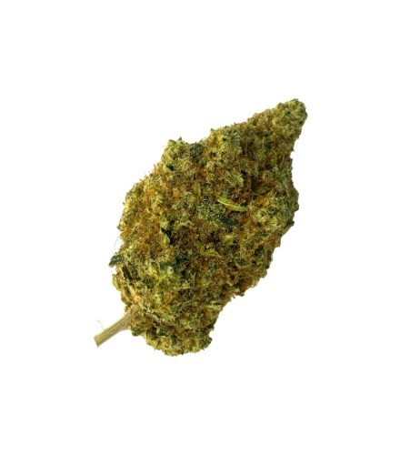 Top Indoor CBD