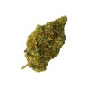 Top Indoor CBD