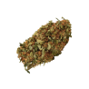 Orange Bud CBD