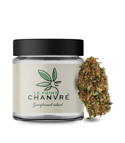 Orange Bud CBD