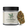 Orange Bud CBD