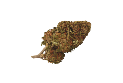 Blueberry CBD