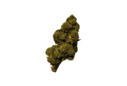 jack herer CBD
