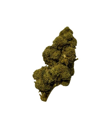 jack herer CBD