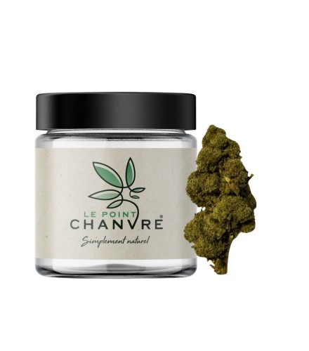 Jack herer CBD