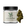 Jack herer CBD