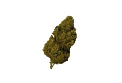 OG Kush CBD