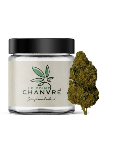 OG Kush CBD