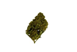 Strawberry CBD