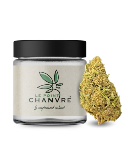 Gelato CBD