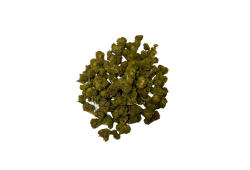 Small Buds Pineapple