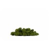 Smallbuds Hawaian CBD