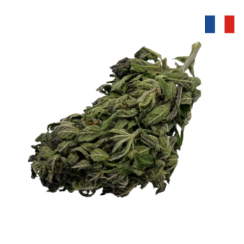 CBD Creusoise bio française outdoor