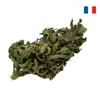 CBD Kompolti bio française Outdoor