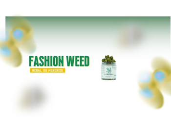 FW MERCREDI Slide background