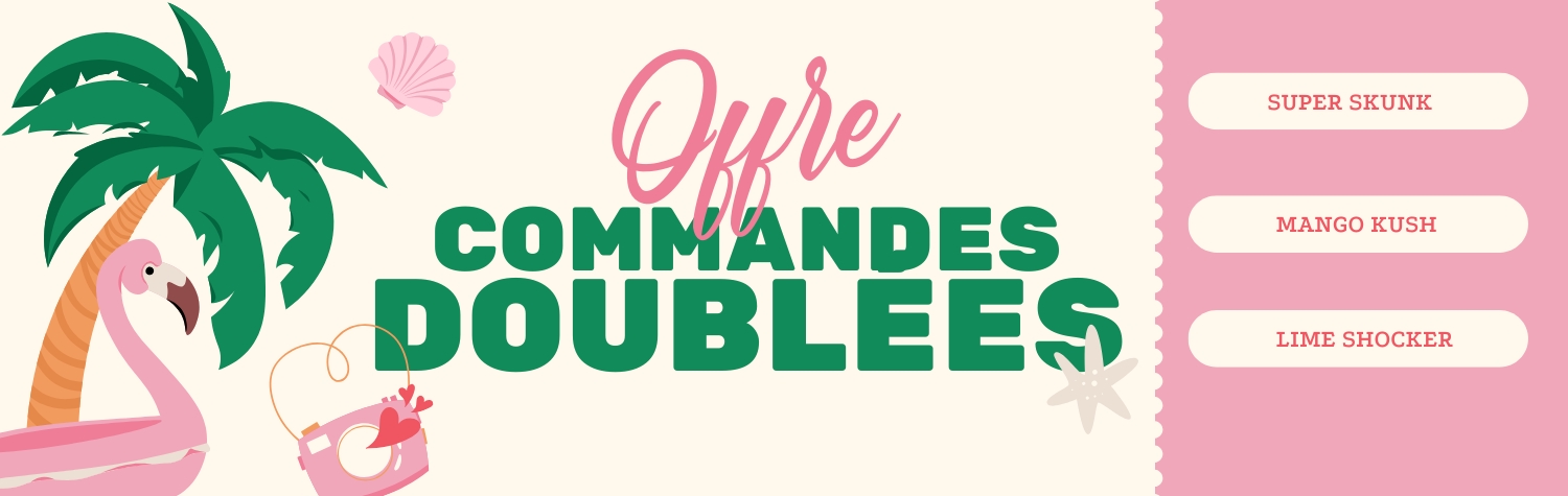Slide thumbnail