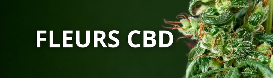 Fleurs de CBD : Quel est le meilleur cbd en France ?