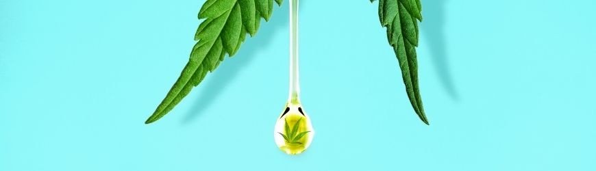 Qu'est-ce que l'huile de CBD ? 