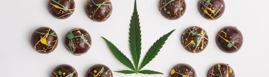 Comment intégrer le CBD dans son alimentation ?