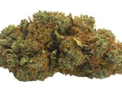 Présentation de la fleur CBG Agent Orange